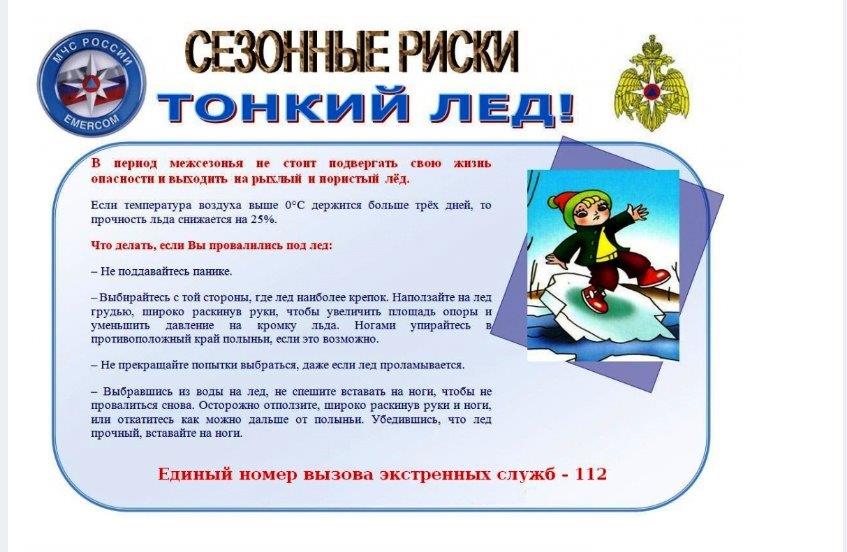 11111_0.jpg